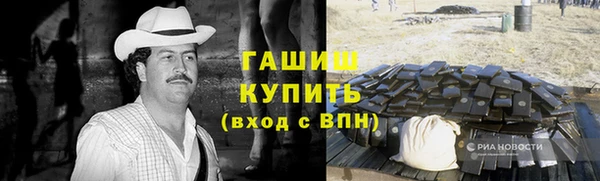 стаф Алексин