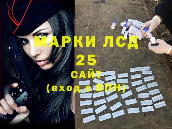 стаф Алексин