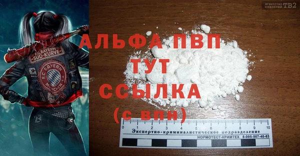 стаф Алексин