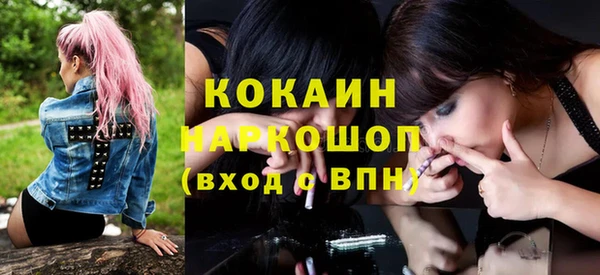 стаф Алексин