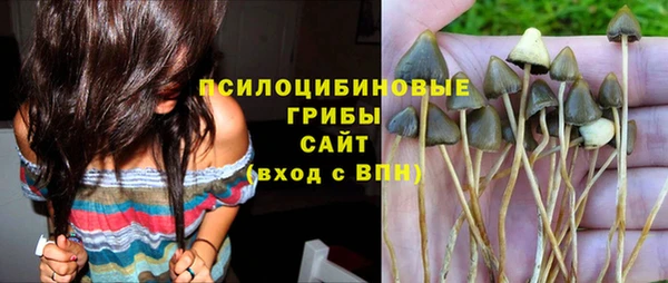 МДПВ Алзамай