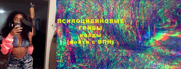 МДПВ Алзамай