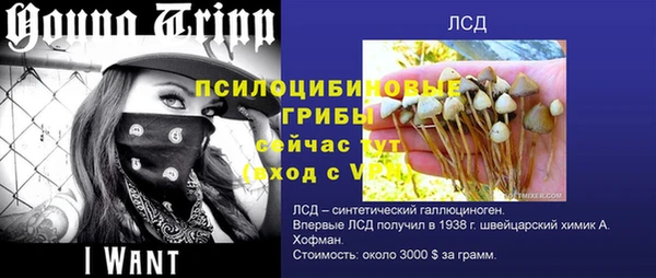 apvp Абаза