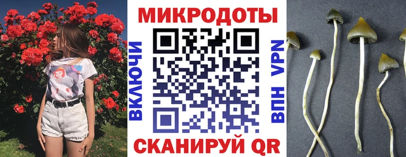 Псилоцибиновые грибы Magic Shrooms  Чехов 